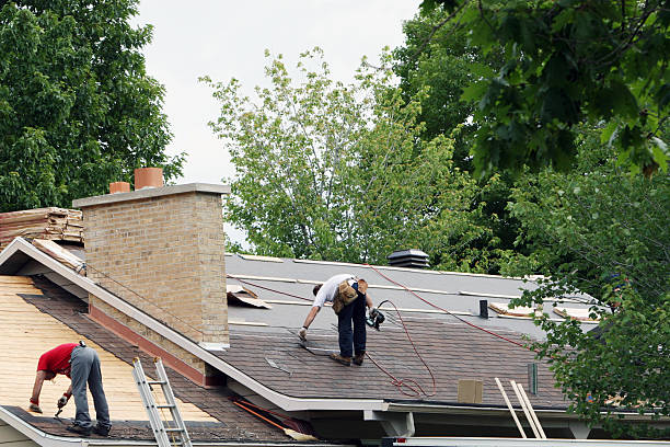 Best Roof Gutter Cleaning  in Rocky Point, WA